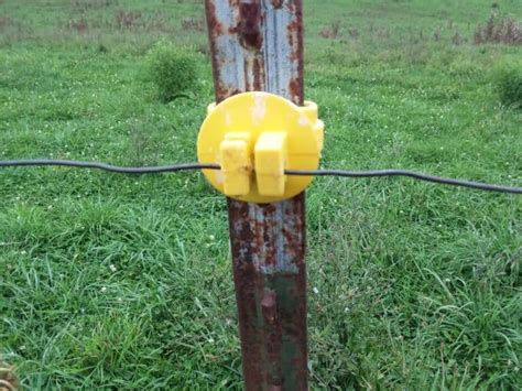 electric fence box for cattle not blinking|fence not working electrically.